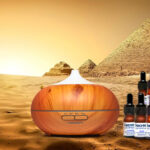 Sacred Egyptian Photo